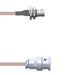 Q-0100I0001.75M by Amphenol Custom Cable - BNC-SJB/BNC-SP G178 0.75M