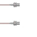 Q-040040005024i by Amphenol Custom Cable - CABLE ASSY BNC JACK RG316 24