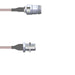 Q-1V022000R2.5M by Amphenol Custom Cable - CABLE ASSY N-TYP JCK RG316 DB 2.5M