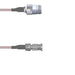Q-2005H0005.25M by Amphenol Custom Cable - CABLE ASY HD-BNC TO N RG316 9.843