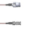 Q-2005H0005006i by Amphenol Custom Cable - CABLE ASSY HD-BNC TO N RG316 6