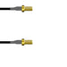 Q-2V02V0003.25M by Amphenol Custom Cable - SMA-SJ/SMA-SJ G174 0.25M
