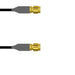 Q-67067000M048I by Amphenol Custom Cable - SMA-SP/SMA-SP LMR24 48I