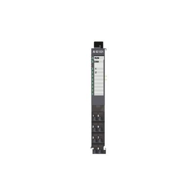 R200 AI 02 031 by Regul - INPUT MODULE 2 ANALOG
