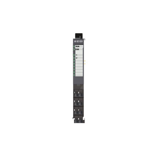 R200 AI 02 031 by Regul - INPUT MODULE 2 ANALOG