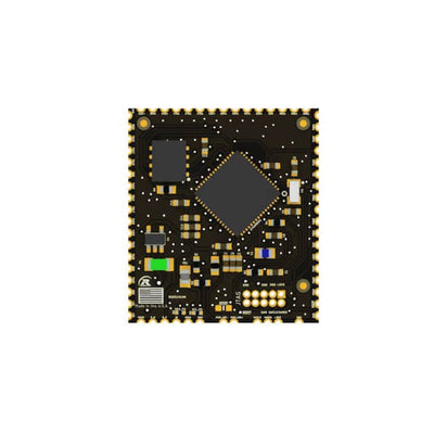 RSD51M100 by Rendeer Systems - RSD51M100 ATSAMD51J19 MODULE