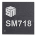 SM718KE160000-AB by Silicon Motion, Inc. - IC MPU 300MHZ 320BGA
