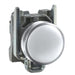 XB4BVB1 by Schneider Electric - HARMONY XB4, PILOT LIGHT, METAL,
