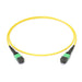 ZMTFFIEACBC0022 by ZCables - MTP TO MTP FEMALE 12 FIBERS OS