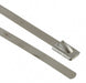 MLT4S-CP316 by Panduit Corp - CABLE TIE LOCKING SIL 200LB 1.192