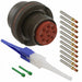 MS3459W18-1S by Amphenol Aerospace Operations - CONNECTOR PLUG FMALE 10POS GOLD CRIMP