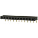 PPPC121LGBN by Sullins Connector Solutions - CONNECTOR HDR 12POS 0.1 GOLD PCB R/A