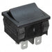 RA412C1100 by E-Switch - ROCKER SWITCH DPST 16A 125V