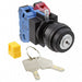 SG-D1-2A11 by Panasonic Industrial Automation Sales - SWITCH KEYLCK 2POS DPST 10A 110V