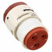 SJS840310 by Amphenol PCD - CONNECTOR PLUG HSG FMALE 3POS INLINE