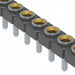 SL-132-T-39 by Samtec Inc. - CONNECTOR RECPT 32POS 0.1 GOLD PCB