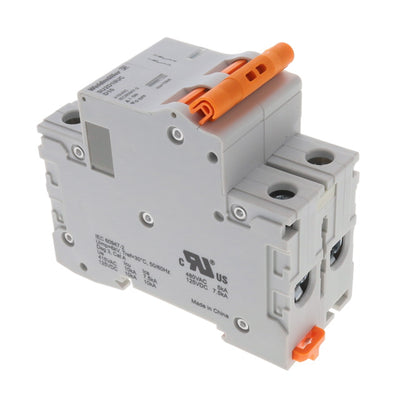 2481060000 by Weidmuller - CB PROTECTOR 1077 2P D 10A ACDC