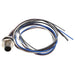 T4171010005-002 by TE Connectivity AMP Connectors - CABLE 5POS MALE TO WIRE 1.64