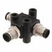 TA-A12M-A12M-A12M-01 by Amphenol LTW - CONNECTOR T-ADAPTER 12P-12/12P M-M/M