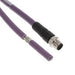 TAB62135501-001 by TE Connectivity AMP Connectors - CABLE 5POS MALE TO WIRE 1.64
