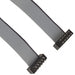 TCMD-05-D-06.00-01 by Samtec Inc. - CABLE ASSEM 2MM 10POS M-M 6