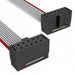TCSD-05-D-06.00-01-N by Samtec Inc. - CABLE ASSEM 2MM 10POS F-F 6