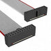 TCSD-10-D-02.00-01-N by Samtec Inc. - CABLE ASSEM 2MM 20POS F-F 2