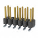TSM-106-01-L-DV-010 by Samtec Inc. - CONNECTOR HEADER SMD 12POS 2.54MM