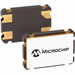Two electronic components with Microchip logo on a white background