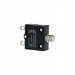 W54-XB2A99C10-25 by TE Connectivity Potter & Brumfield Relays - THERMAL CIRCUIT BREAKER25A 250VAC