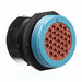 YHDP24-24-31PEL024 by TE Connectivity Deutsch Connectors - CONNECTOR RECPT HSNG MALE 31POS PNL MT